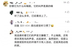 从泉源削减光污染对鸟类的干